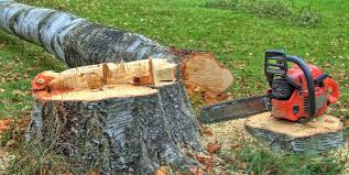 Best Tree Risk Assessment  in Canonsburg, PA